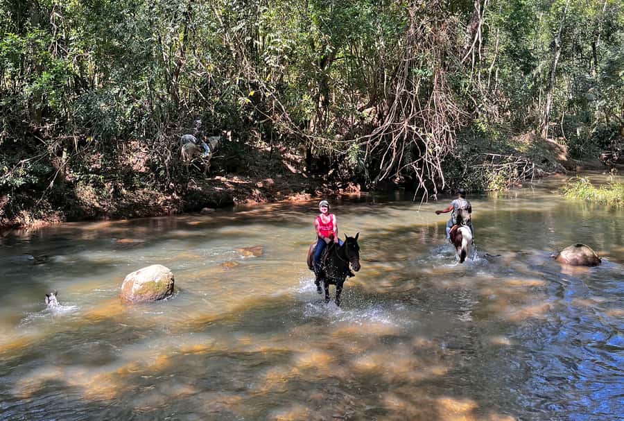 Paraty: 3-Hour Rainforest Horseback Ride - Meeting horses suited to first-time riders