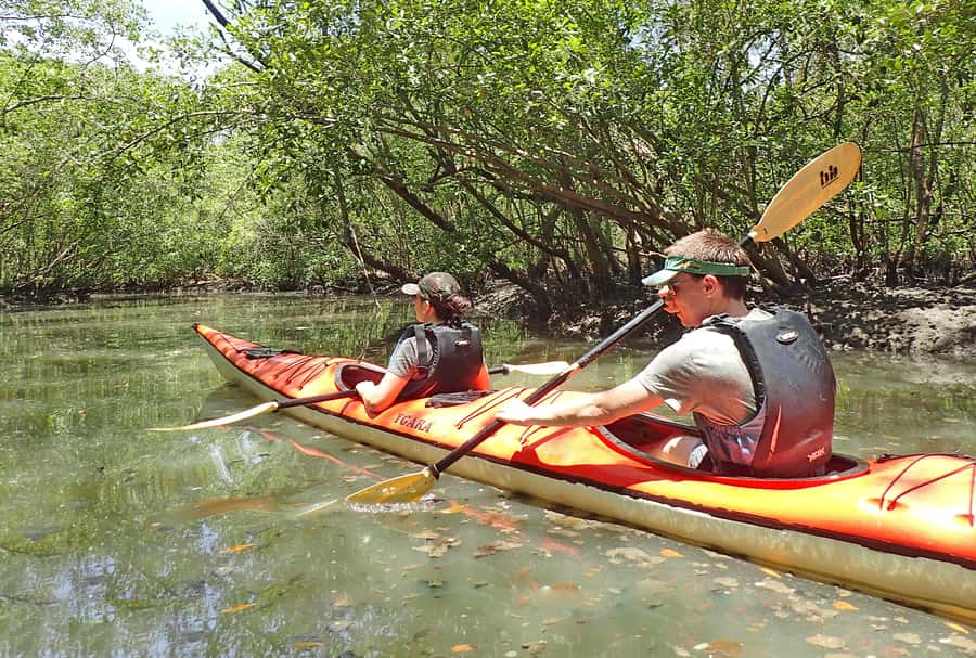 Paraty Bay: Half-Day Mangroves and Beaches Tour by Kayak - The first paddle across calm water