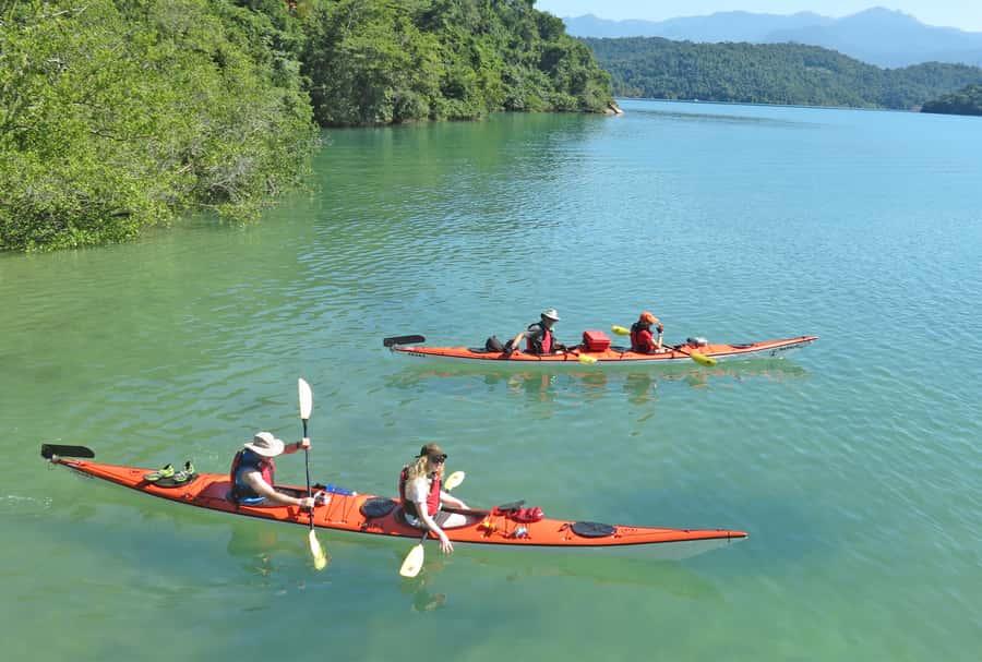 Paraty Bay: Half-Day Mangroves and Beaches Tour by Kayak - Who should book this kayak tour?