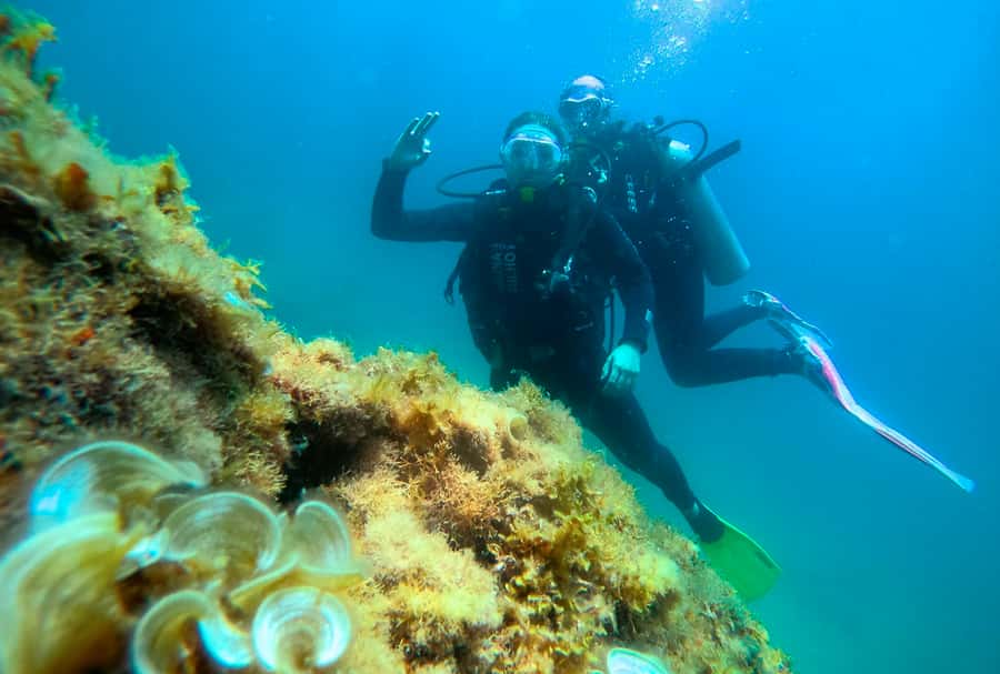 Paraty: Discovery Scuba Diving Experience for Beginners - What to pack for Costa Verde