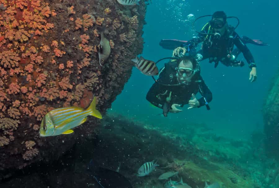 Paraty: Discovery Scuba Diving Experience for Beginners - What you do while waiting on the boat