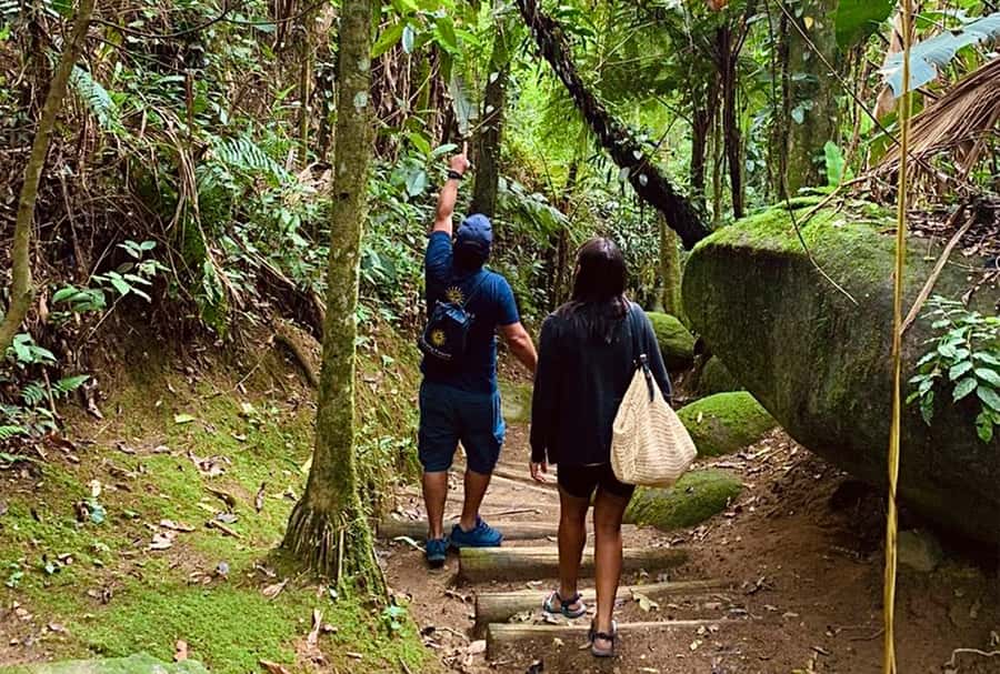 Paraty: Gold Trail Rainforest Hiking Tour - Why Paraty’s Gold Trail matters