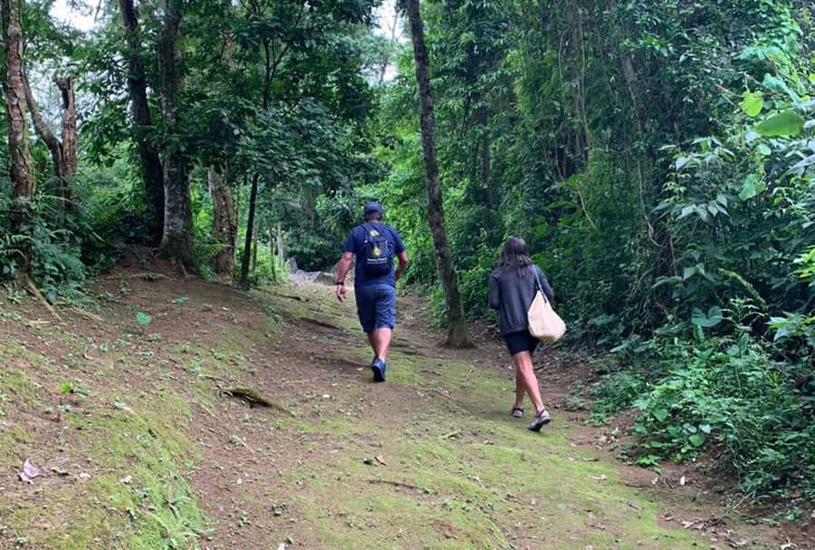 Paraty: Gold Trail Rainforest Hiking Tour - Gold diggers, tropeiros, and enslaved labor