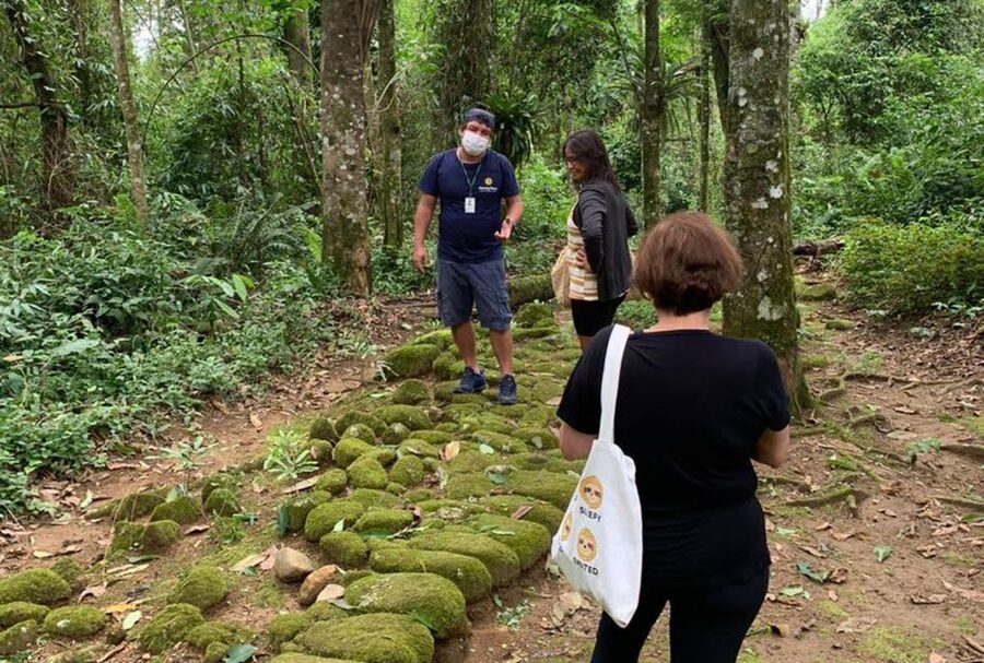 Paraty: Gold Trail Rainforest Hiking Tour - Tobogã Waterfall and Engenho do D’Ouro
