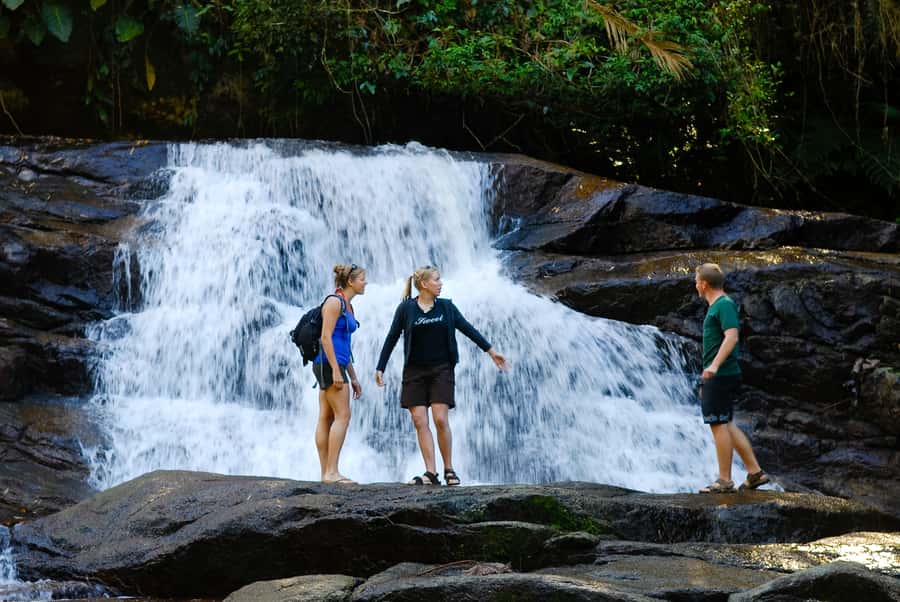 Paraty: Jungle Waterfalls and Cachaça Distillery Jeep Tour - Pedra Branca Waterfall and the rainforest walk
