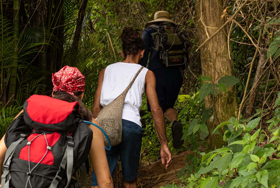 Paraty: Pão de Açucar Peak Trekking and Hiking Tour - The descent and the swim at Praia do Cruzeiro