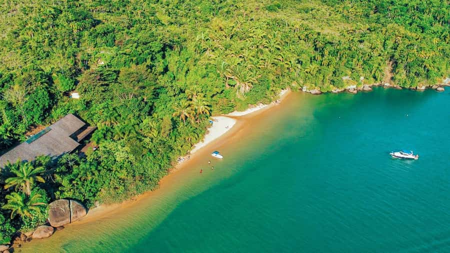 Paraty: Saco do Mamanguá Speedboat Tour - Key points to know before you book