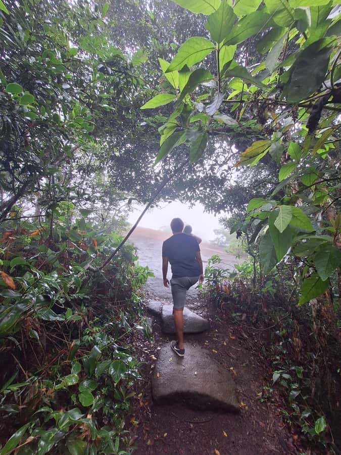 Pedra Bonita Trail: The easiest trail with a beautiful view of Rio - Should You Book Pedra Bonita?