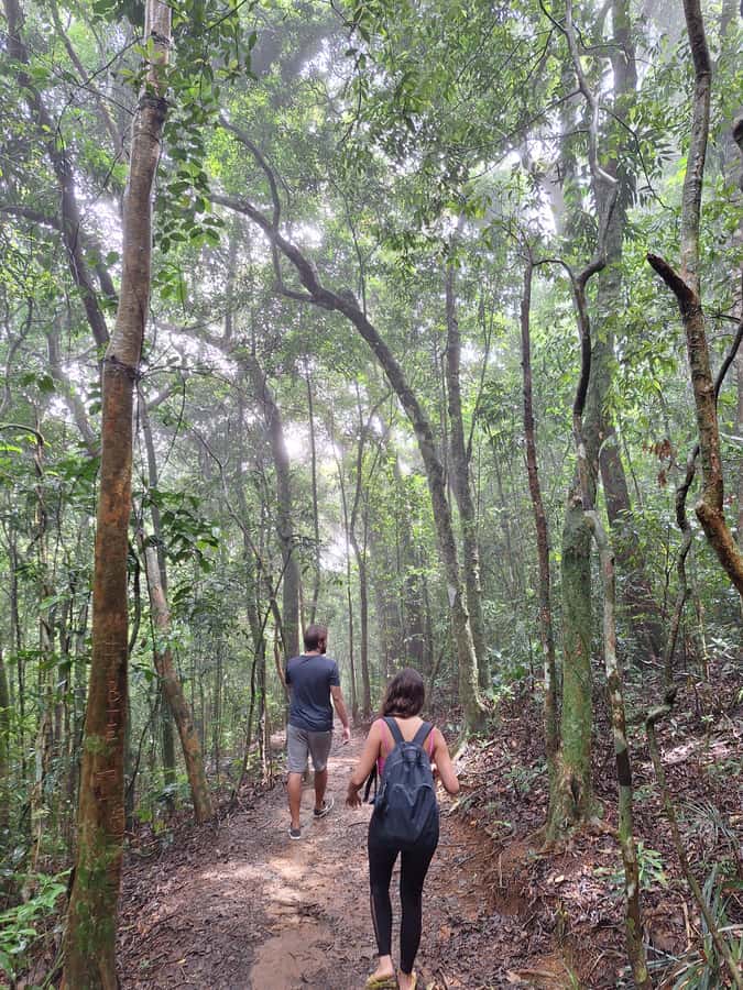 Pedra Bonita Trail: The easiest trail with a beautiful view of Rio - The Ride From Copacabana or Barra da Tijuca