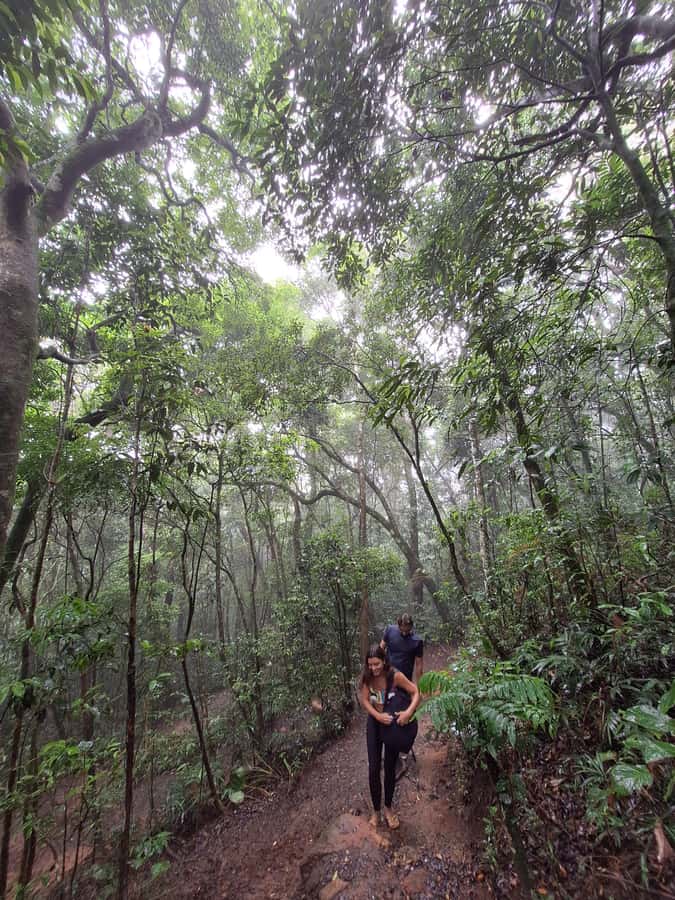 Pedra Bonita Trail: The easiest trail with a beautiful view of Rio - The View Across Rio’s West and South Zones