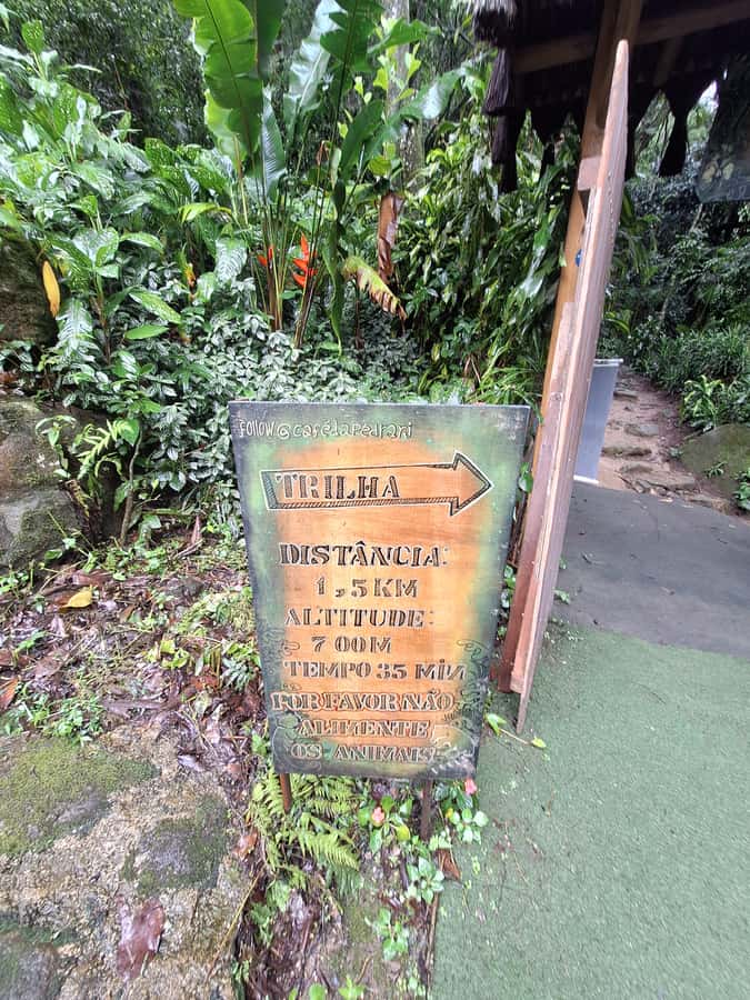 Pedra Bonita Trail: The easiest trail with a beautiful view of Rio - Is $44 Good Value?
