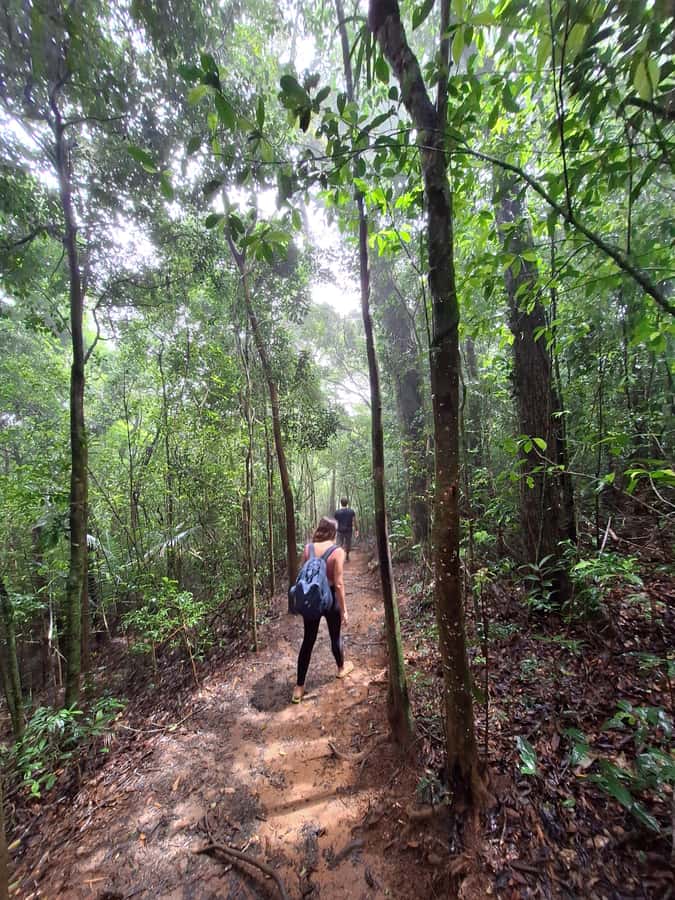 Pedra Bonita Trail: The easiest trail with a beautiful view of Rio - Practical Tips for a Better Visit