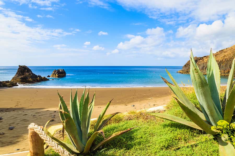 Pedra do Telégrafo Hike and Beach Full-Day Tour - Grumari or Prainha: a welcome second act