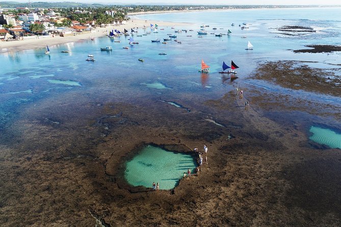 Porto de Galinhas Tour from Maragogi by Costazul Turismo - Why Porto de Galinhas makes a worthwhile day from Maragogi
