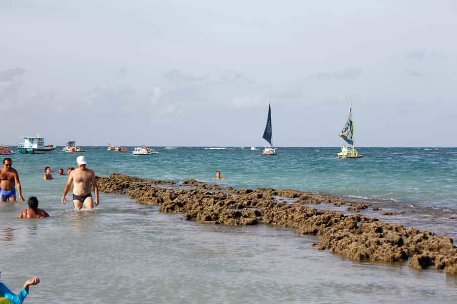 Porto Galinhas Full Day Tour - From Recife to Porto de Galinhas