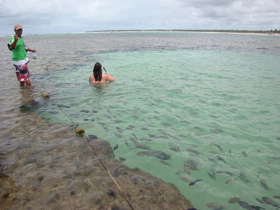 Porto Galinhas Full Day Tour - Jangada rides and the cost of extras