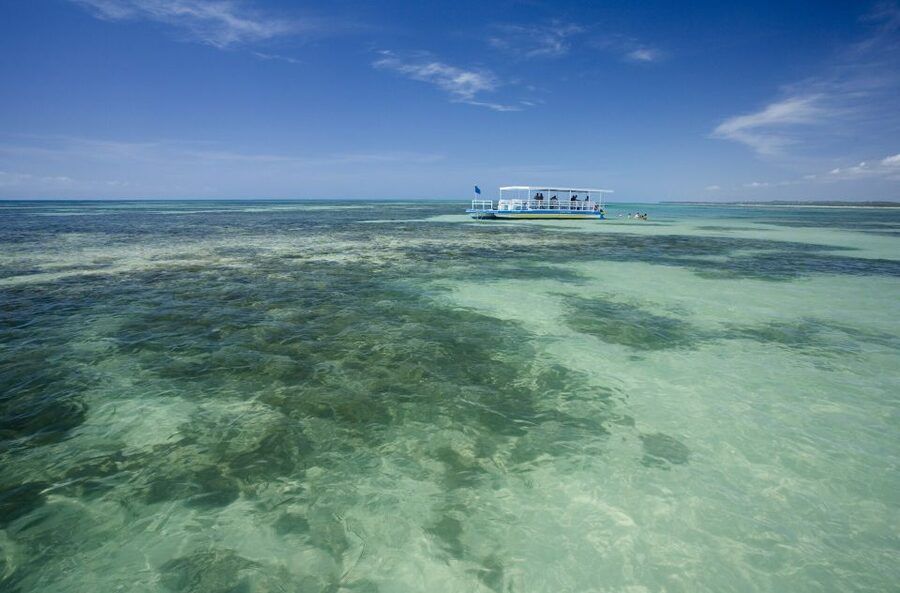 Praia de Paripueira Beach Day Tour - Should you book the Paripueira beach day?
