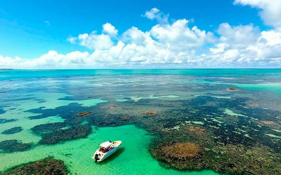 Praia de Paripueira Beach Day Tour - Paripueira’s calm water and coral setting