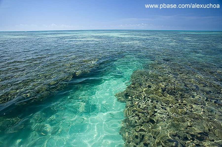 Praia de Paripueira Beach Day Tour - Who will enjoy this Paripueira tour