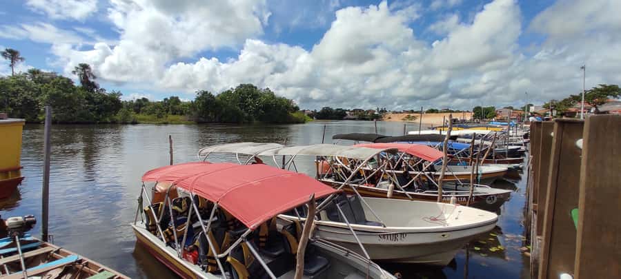 Preguicas River Speedboat Tour - Vassouras and the monkey problem
