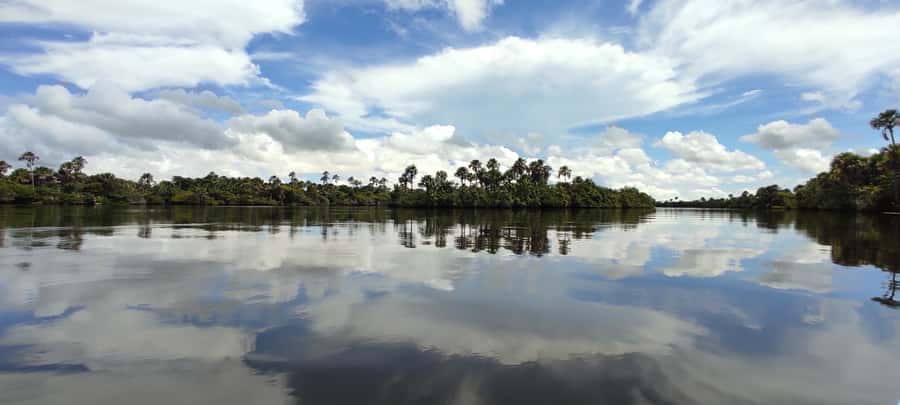 Preguicas River Speedboat Tour - Booking details worth checking