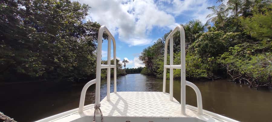 Preguicas River Speedboat Tour - A fast boat through changing river scenery