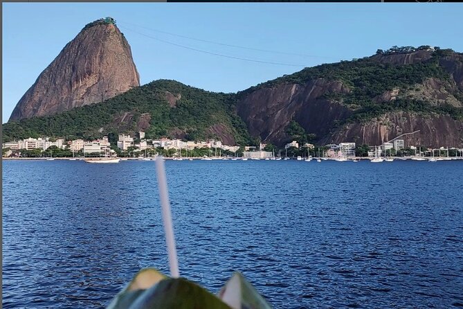 Private and Customizable Tour in Rio de Janeiro - Sambadrome and Cidade do Samba
