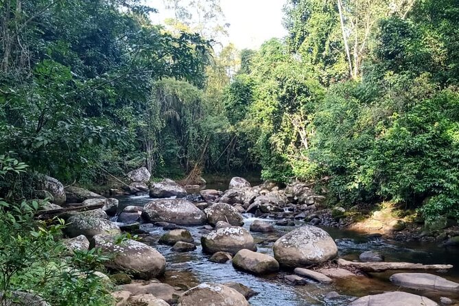 Private Bike Tour in Paraty - Key details before you book