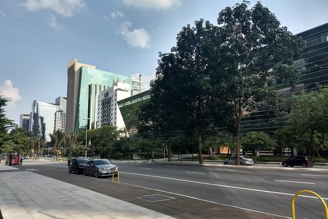 Private Half-Day Guided Tour to São Paulo - Seeing São Paulo from a private car