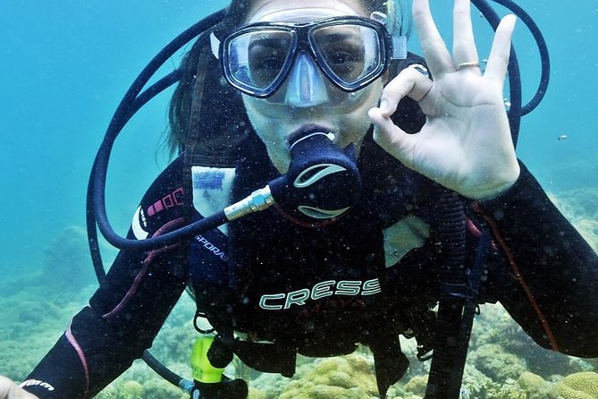Private Program for Accredited Diver in Búzios - Key points to know before booking