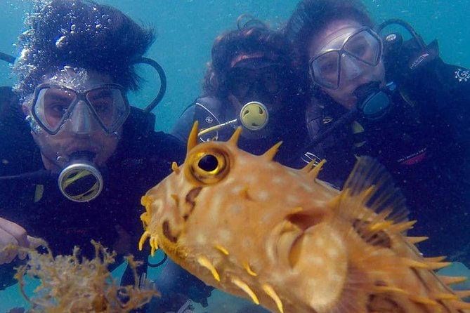 Private Program for Accredited Diver in Búzios - Entering the protected waters off Praia de João Fernandes