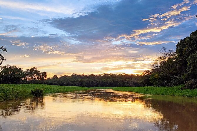 Private River Tour by Speedboat in the Amazon, Lily Pads & Nature - Leaving Manaus by the waterfront