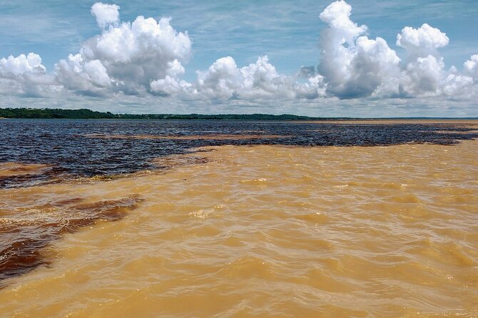 Private River Tour by Speedboat in the Amazon, Lily Pads & Nature - Through the seasonal igapó forest