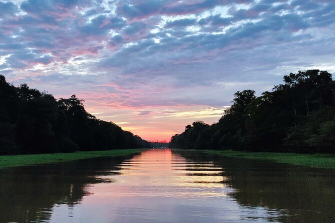 Private River Tour by Speedboat in the Amazon, Lily Pads & Nature - Seeing two rivers meet without mixing
