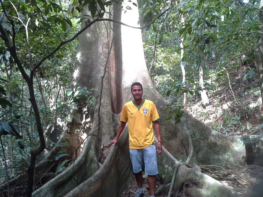 Private Tijuca Forest & Botanical Garden Guided Tour - Key points at a glance