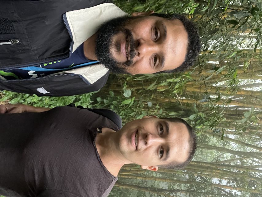 Private Tijuca Forest & Botanical Garden Guided Tour - Who should book this Rio nature outing?