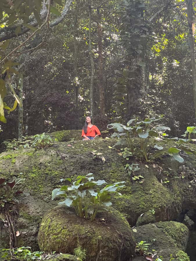 Private Tijuca Forest & Botanical Garden Guided Tour - Walking through Tijuca National Park Forest
