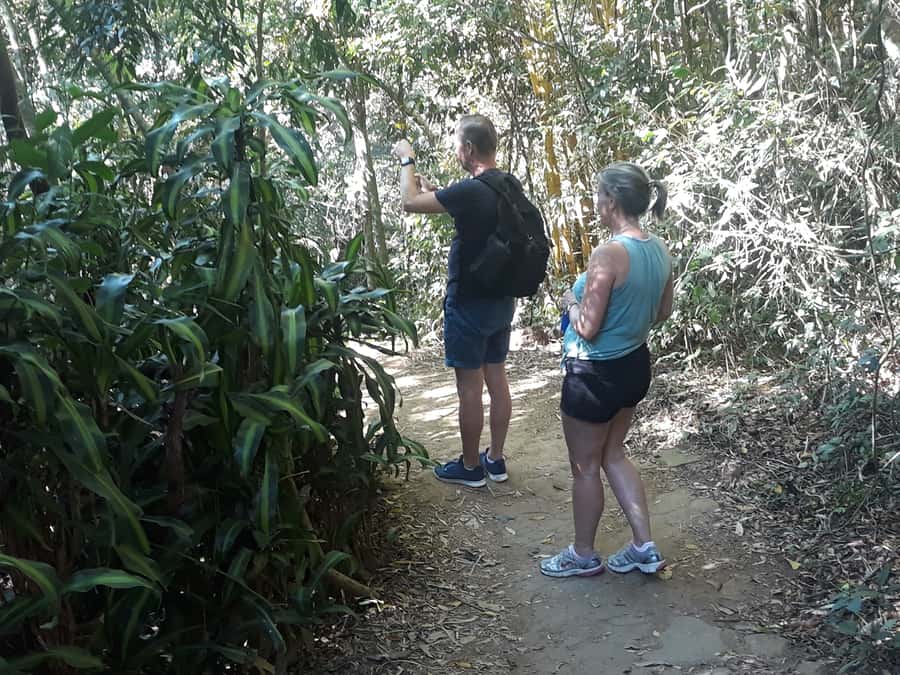 Private Tijuca Forest & Botanical Garden Guided Tour - Private transport is the quiet advantage
