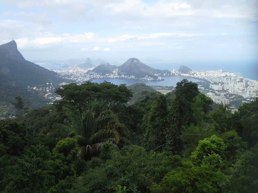 Private Tijuca Forest & Botanical Garden Guided Tour - Practical preparation for the forest