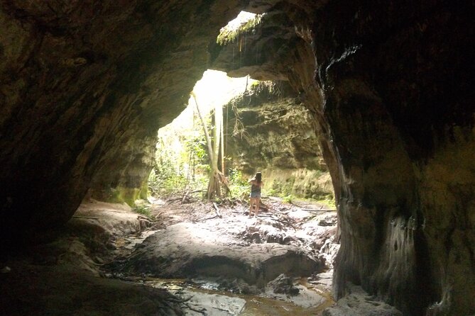Private Tour - 2 Days Exploring the Caves and the Waterfalls - Why Presidente Figueiredo makes a good side trip from Manaus