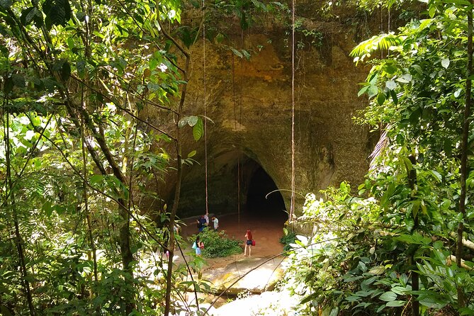Private Tour - 2 Days Exploring the Caves and the Waterfalls - The 8am departure and drive from Manaus
