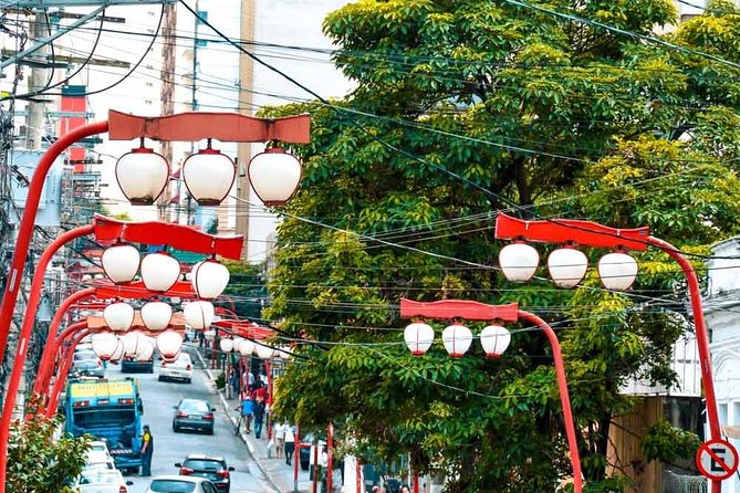 Private Tour: São Paulo's Top Attractions–6 Hours, Hotel/Airport - MAC USP for art and a city view