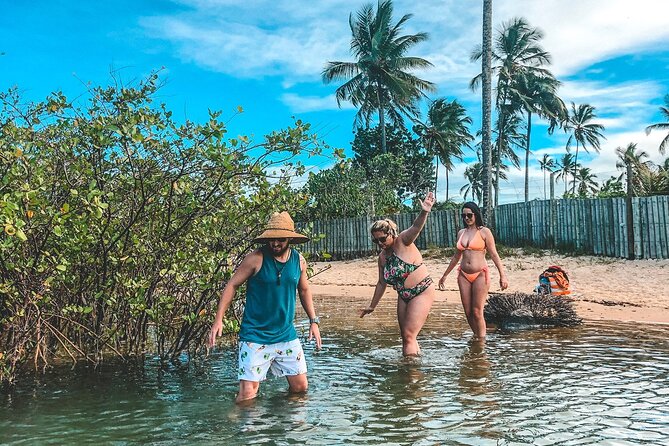 Private Tour to Trancoso - Praia dos Coqueiros: four hours for lunch and sea time