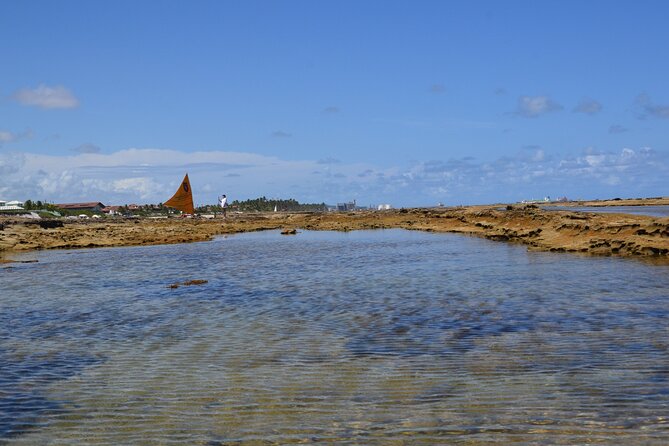 Private Transfer from Porto de Galinhas to Recife Airport - The 50-minute road trip to Recife