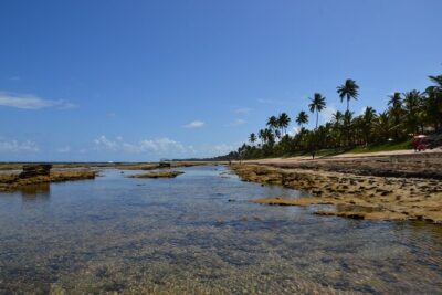 Private Transfer from Porto de Galinhas to Recife Airport