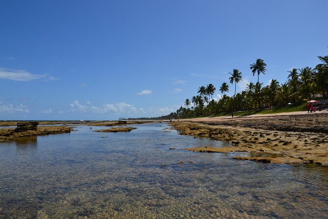 Private Transfer from Porto de Galinhas to Recife Airport - What the Porto de Galinhas pickup looks like