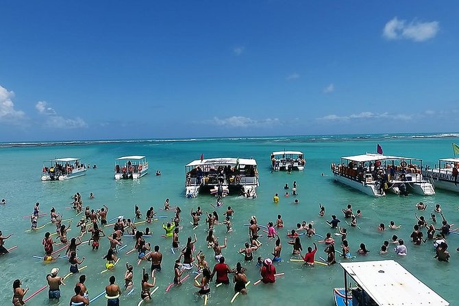 Private Transfer from Recife Airport to Maragogi - Air conditioning is more than a small extra
