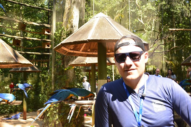 Private transport with guide to Brazil Falls + Bird Park - Choosing your lunch break after the falls