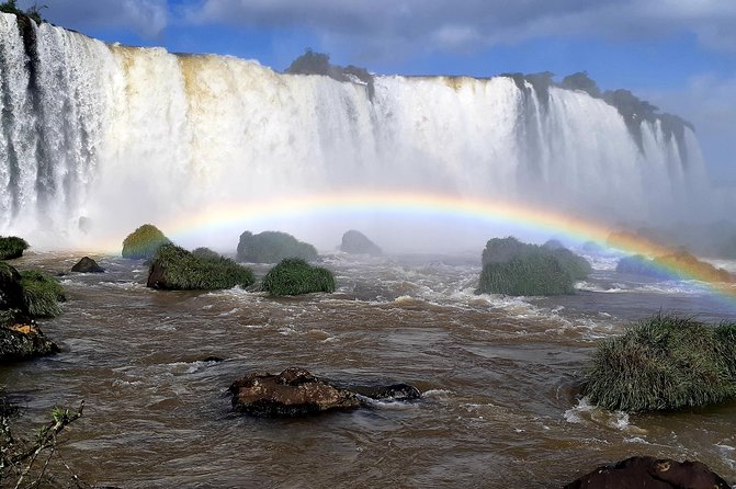Private transport with guide to Brazil Falls + Bird Park - Parque das Aves and its close-up bird encounters