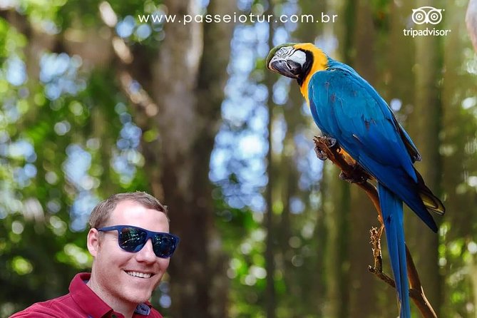 Private transport with guide to Brazil Falls + Bird Park - Walking the 1,500-meter Brazilian falls trail
